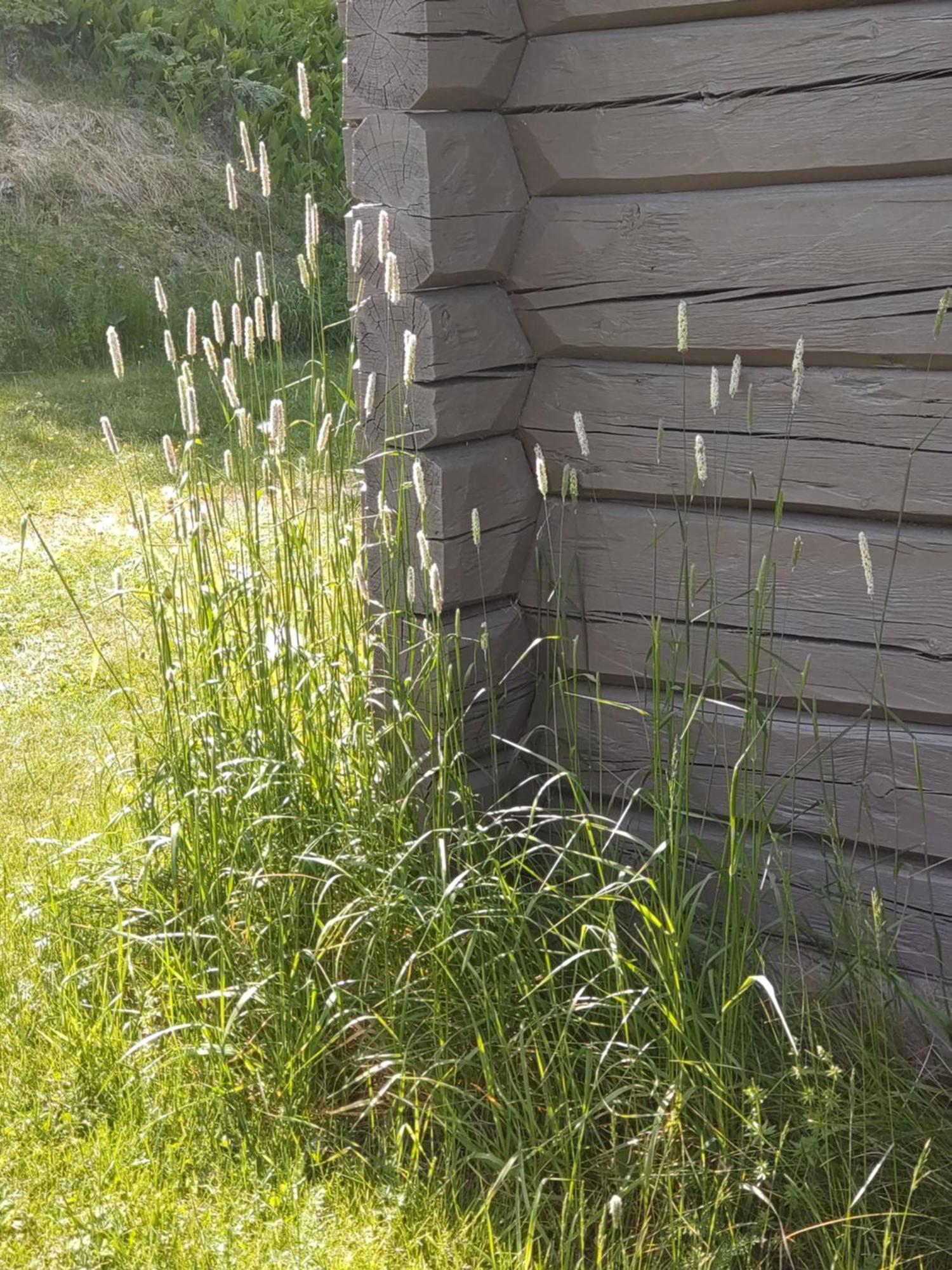 Fyrkloeverns Stugby Rättvik Buitenkant foto